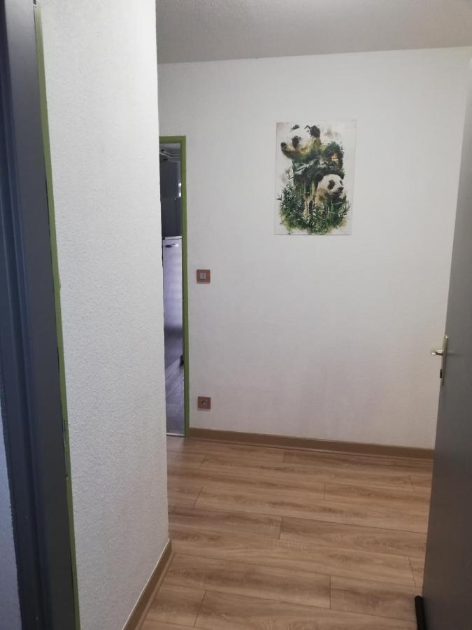 Ferienwohnung Grand T3 Avec Clim, Parking Et Terrasse Privative - Agen Exterior foto