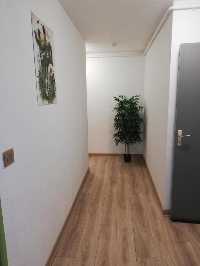 Ferienwohnung Grand T3 Avec Clim, Parking Et Terrasse Privative - Agen Exterior foto
